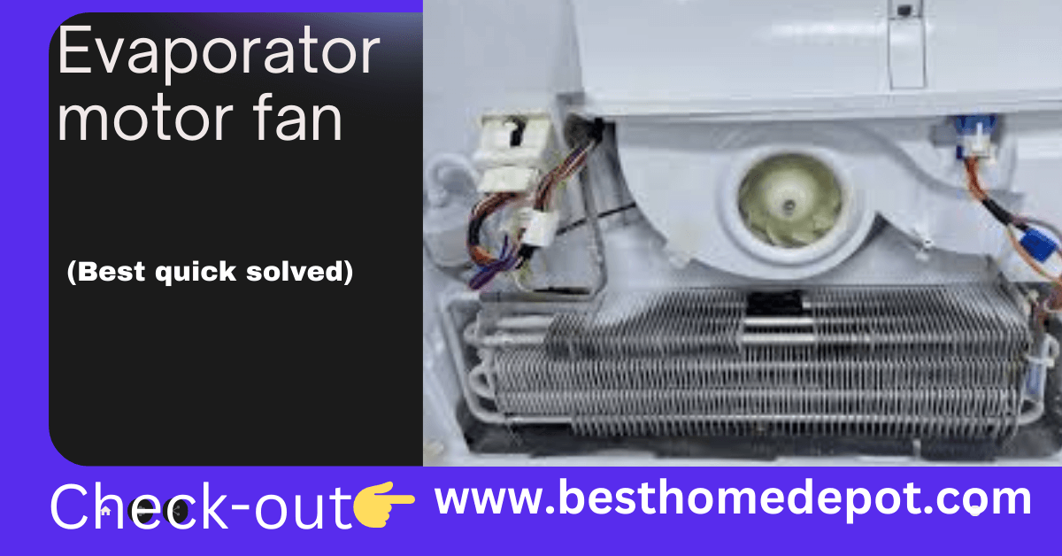 Evaporator motor fan